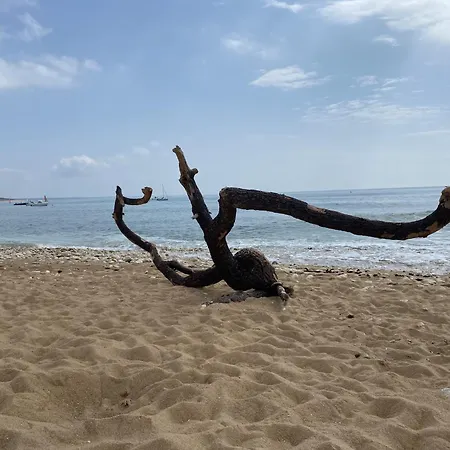 Bed & Breakfast Independante Dans Maison Le Château-dʼOléron