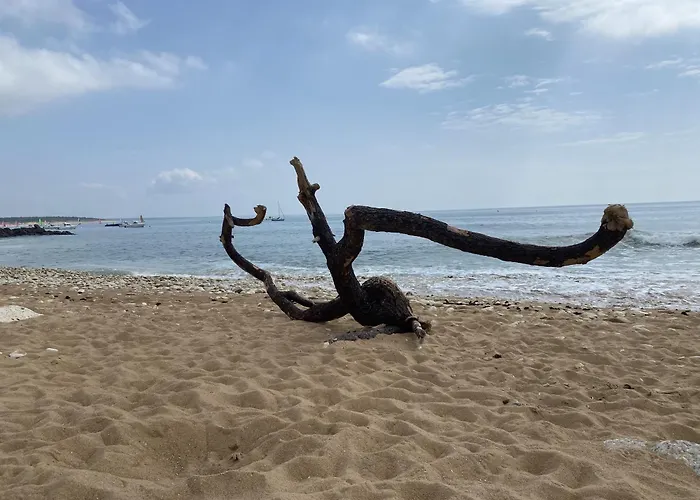 Alojamento de Acomodação e Pequeno-almoço Independante Dans Maison Le Château-dʼOléron